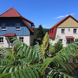 Hasseröder Ferienpark